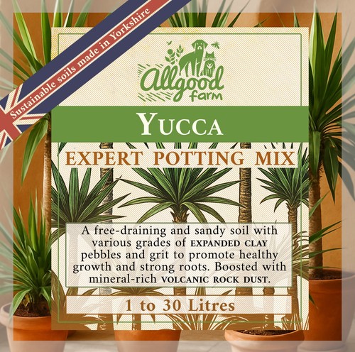 Yucca tree premium potting - tree,