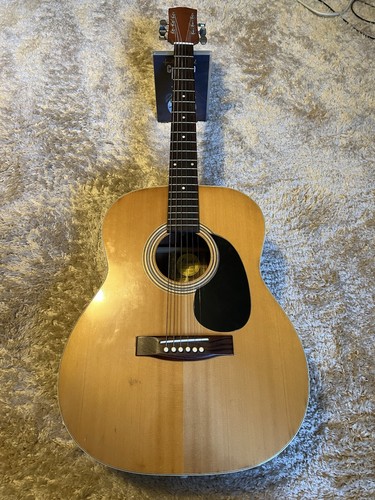 Very rare landola acoustic - f6,