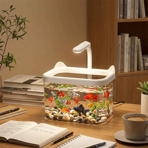 Portable led light desktop - led,