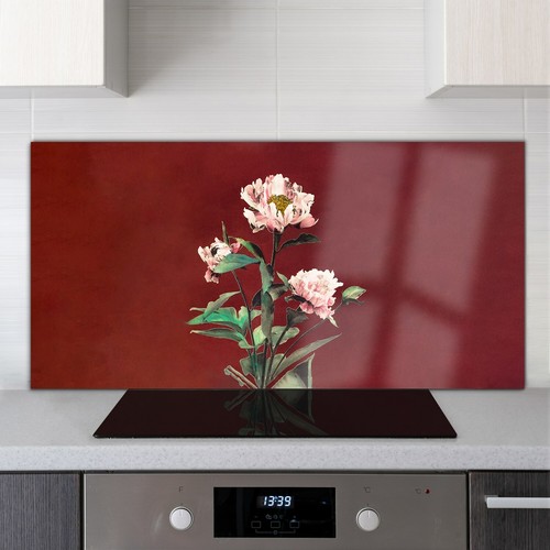 Glass cooker splashback - glass,