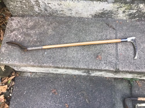 Hunting crop horned handle - hunting,