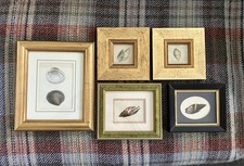 Rare! Five Antique Victorian