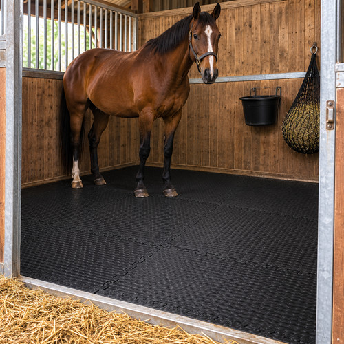 Interlocking eva stable - interlocking,