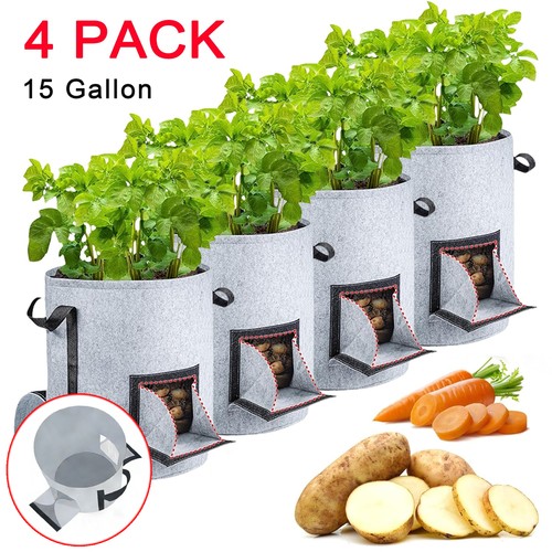 4pcs gallon potato - 15, grow