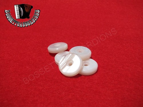 Accordion hole buttons white - accordion,