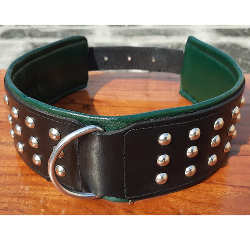 Wide studded dog - 3",