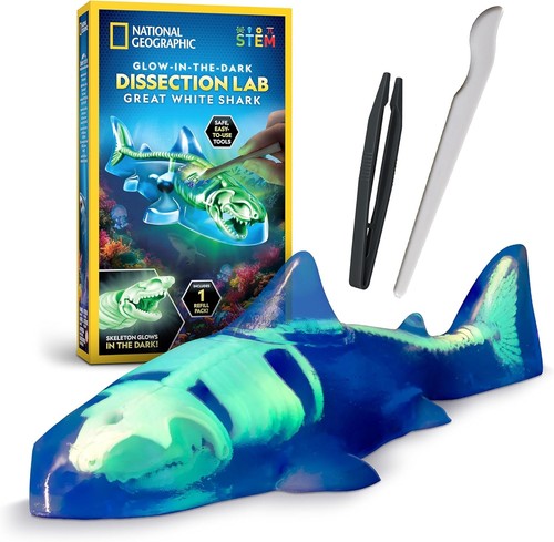 Shark dissection kit glow - kit, –