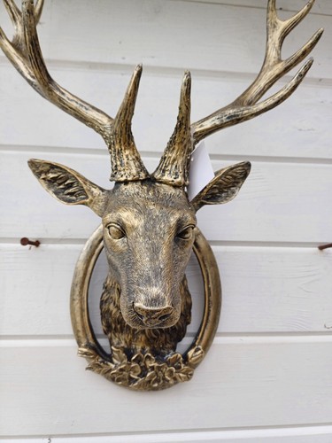 Stags antlers head reindeer - stags,