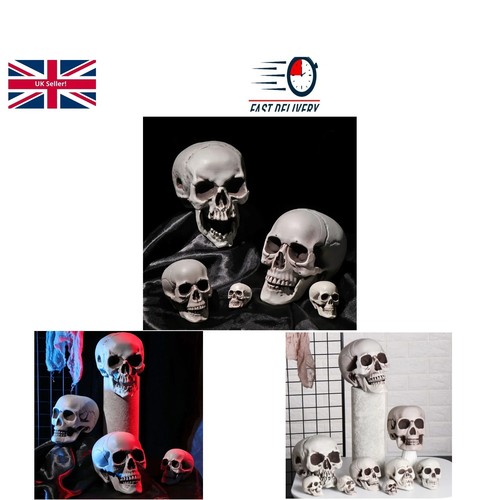 Plastic skull heads high - -,