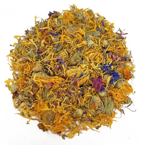 Dried tortoise flower - dried, mix