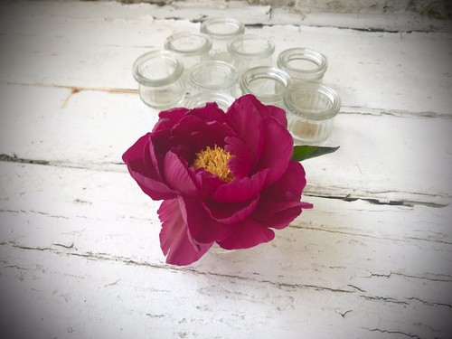 Antique bottles mini paste - antique,