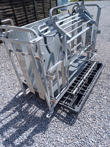 Sheep turnover crate - sheep,