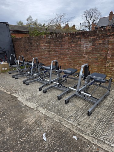 Hammer strength calf raise - calf,