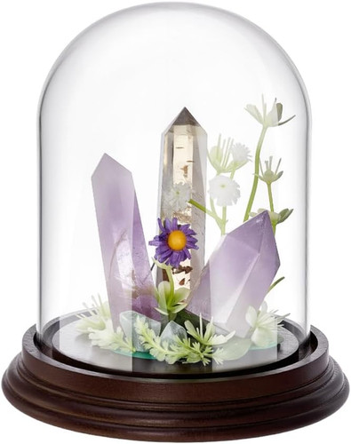 1x5 inch glass display - inch,