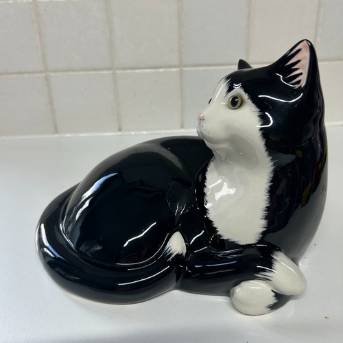 Just cats co staffordshire - just,