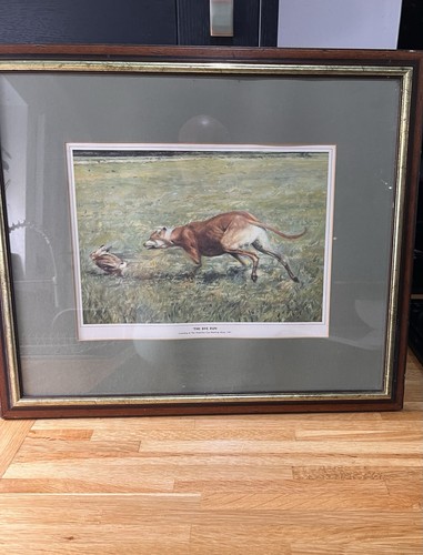 Greyhound the waterloo cup - the,