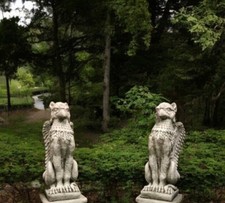 Griffin Sentinels & Tall