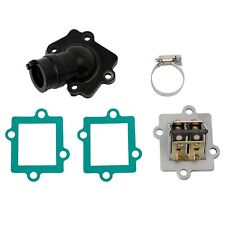 Intake Manifold Reed Valve