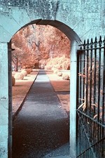 SONY a5000 FULL SPECTRUM/IR CONVERTED CAMERA BODY BLACK VERY GOOD  3286A