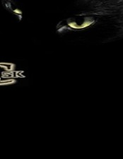 Scrap Catalytic Converter