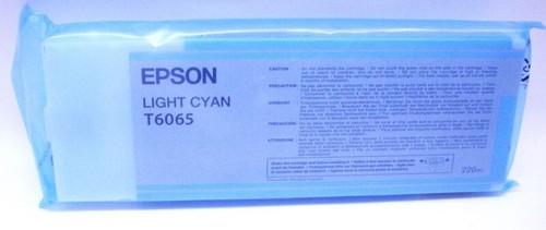 Genuine epson t6065 ink - genuine, light