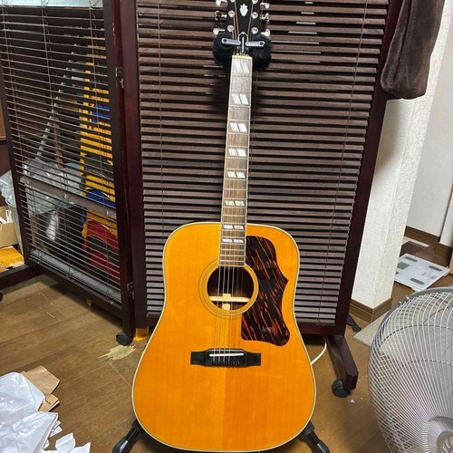 Epiphone humming bird body