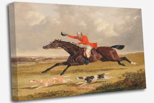 Classic fox hunting vintage - fox,