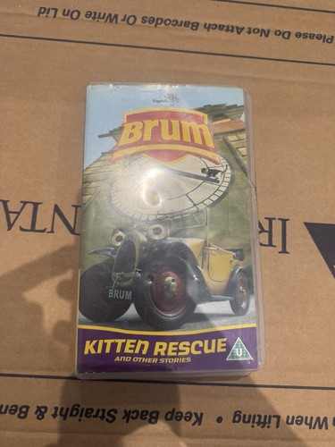 Brum kitten rescue and other - kitten,