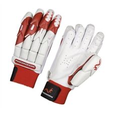 WOODWORM CRICKET FIREWALL BETA