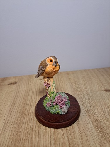 Border fine arts - baby, robin