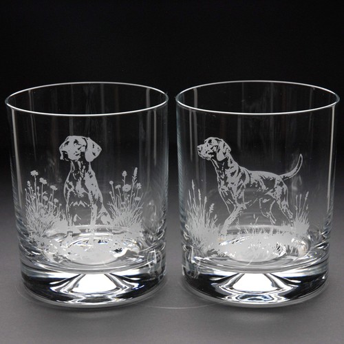 Weimaraner dog whiskey tumbler - dog,