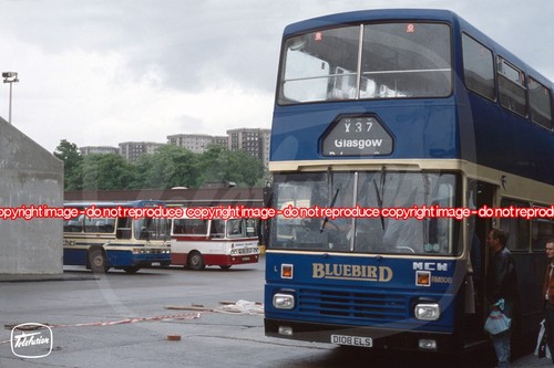 Bus photo midland - bus,