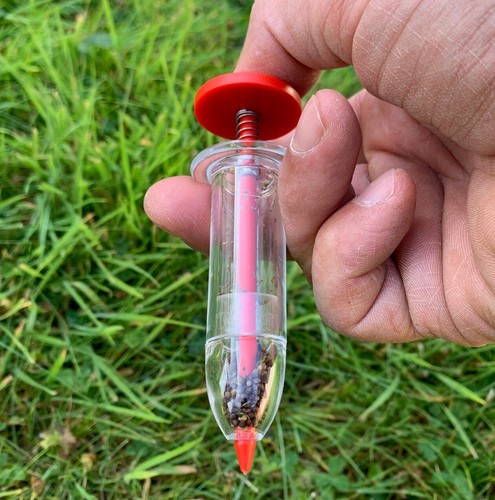 Hand held seeder seed - hand,