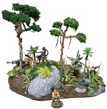 Rainforest Jungle scenery