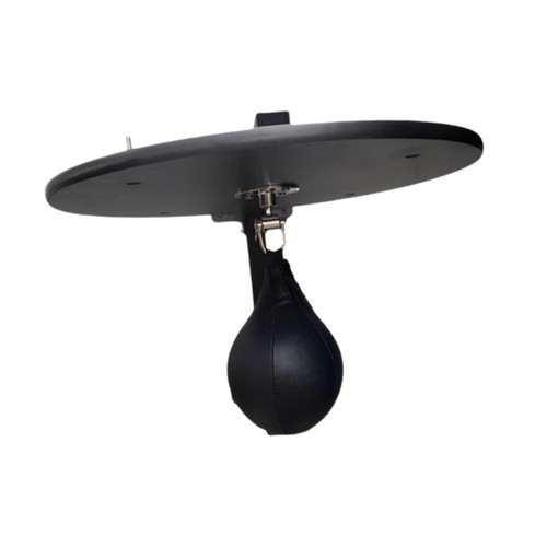Boxing punching bag speed - punching,