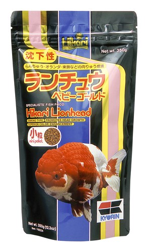 Hikari lionhead mini - lionhead, sinking