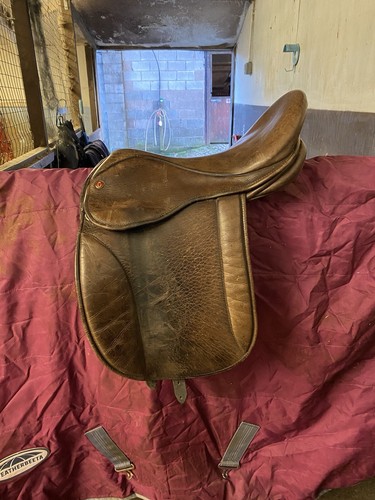 Windsor colt medium to - windsor, 17”