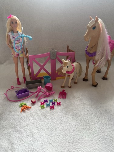 Barbie groom care playset - barbie, 'n