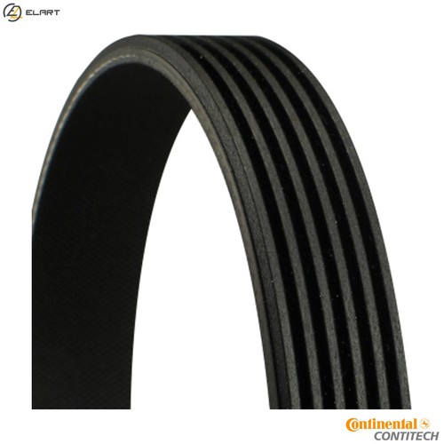Vribbed belt 6pk1680 - vribbed, skoda