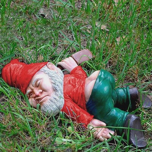 Funny rude naughty drunk gnome - drunk,