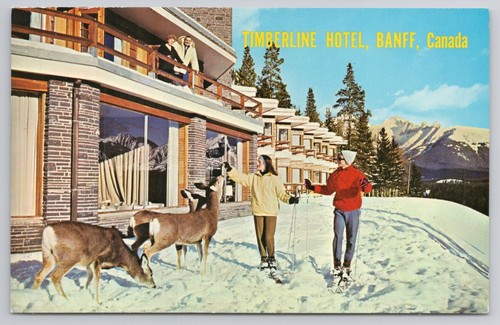 Deer skiers timberline hotel - deer,