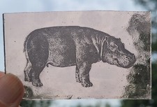 Hippo stained glass kiln fired