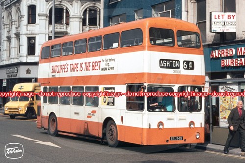 Bus photo selnec 3000 - selnec,