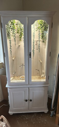 Large indoor aviary - large,