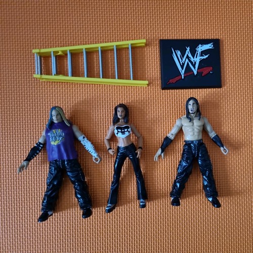 Wwe ttl hardy boyz boys - wwe,