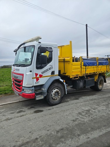 2014 daf 250 euro 6 - lf,