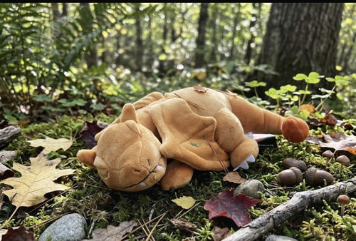 Pokemon charizard sleeping - pokemon,