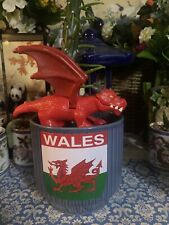 X-Large Giant Cacti Houseplant