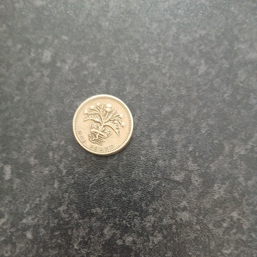 1984 rare pound coin nemo - rare, me
