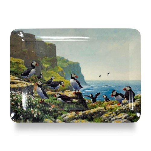 Puffins roosting melamine tray - roosting,